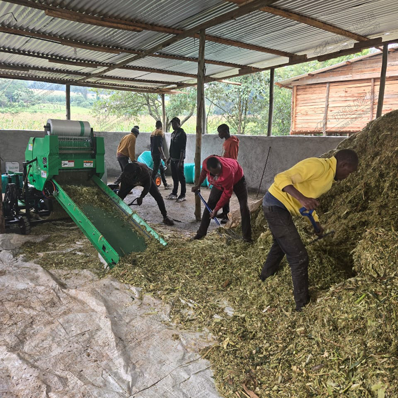 China Corn Silage Grass Harves - đánh giá và giá Silage Baler Machine