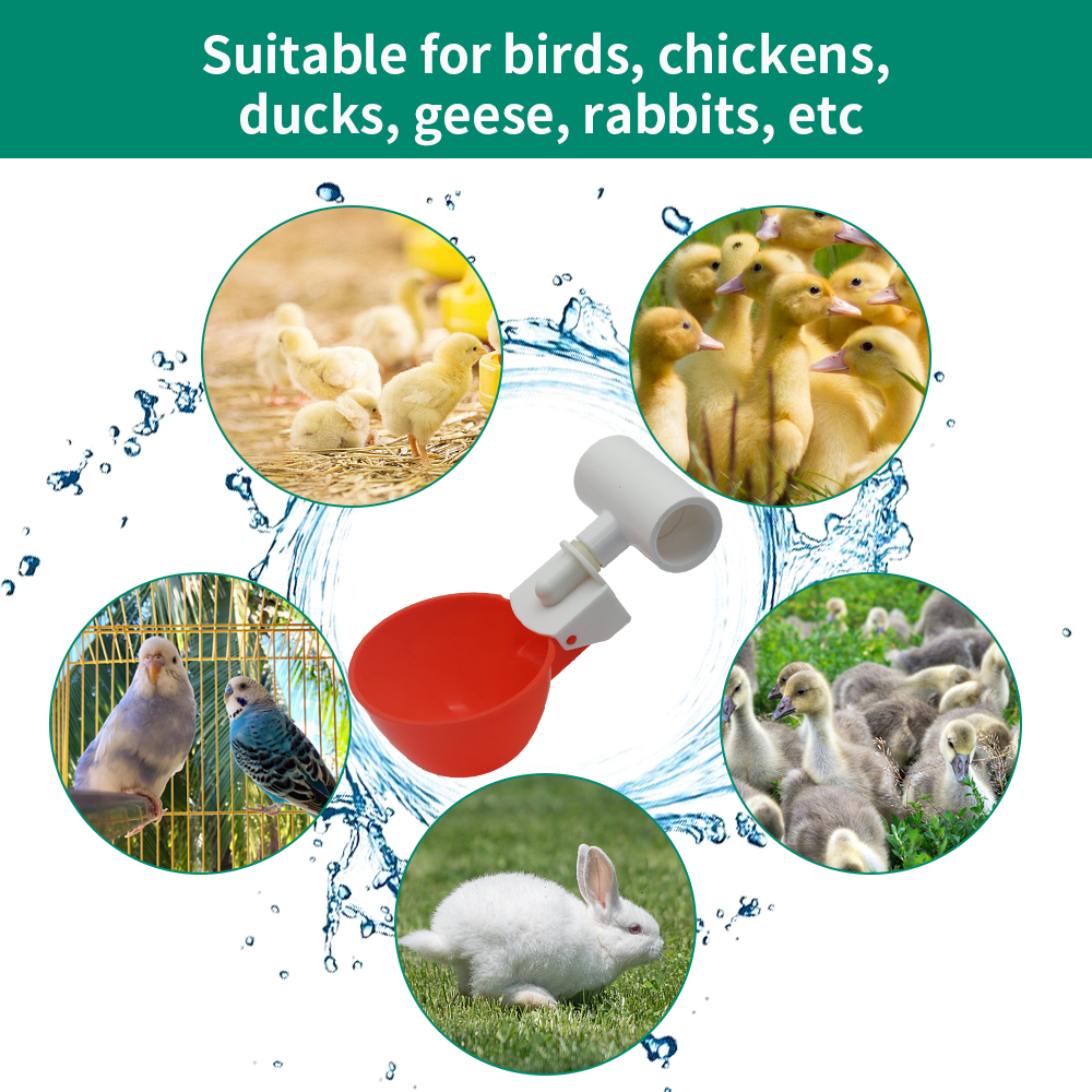 5/10/20Pcs Plastic Poultry Dri - đánh giá và giá Chicken Nipple Drinker