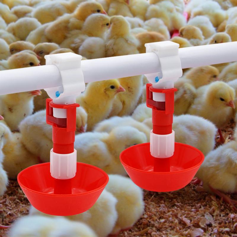 5/10/20 Pcs Automatic Chicken  - đánh giá và giá Chicken Nipple Drinker