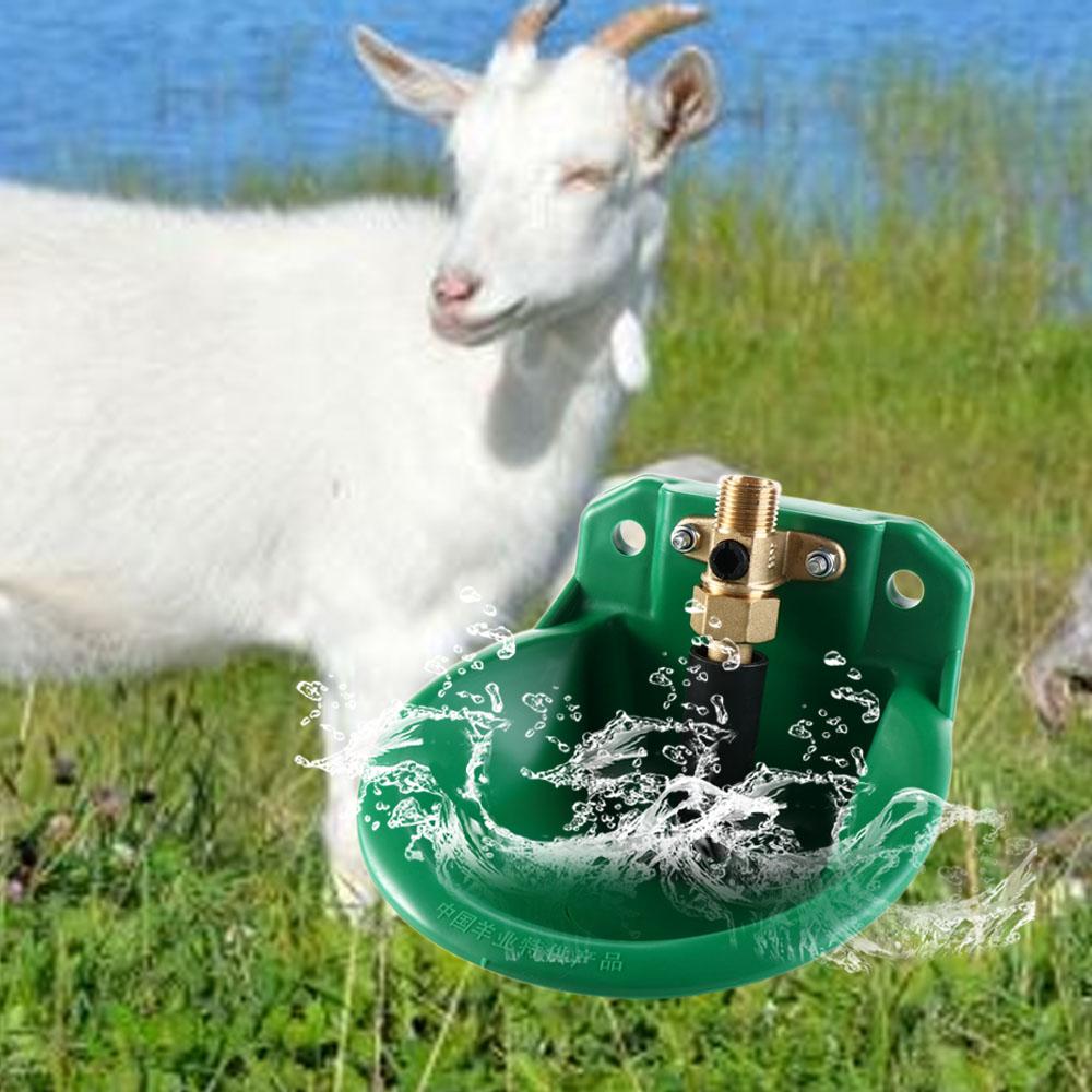 Automatic Water Bowl Liquid Dr - đánh giá và giá Chicken Nipple Drinker