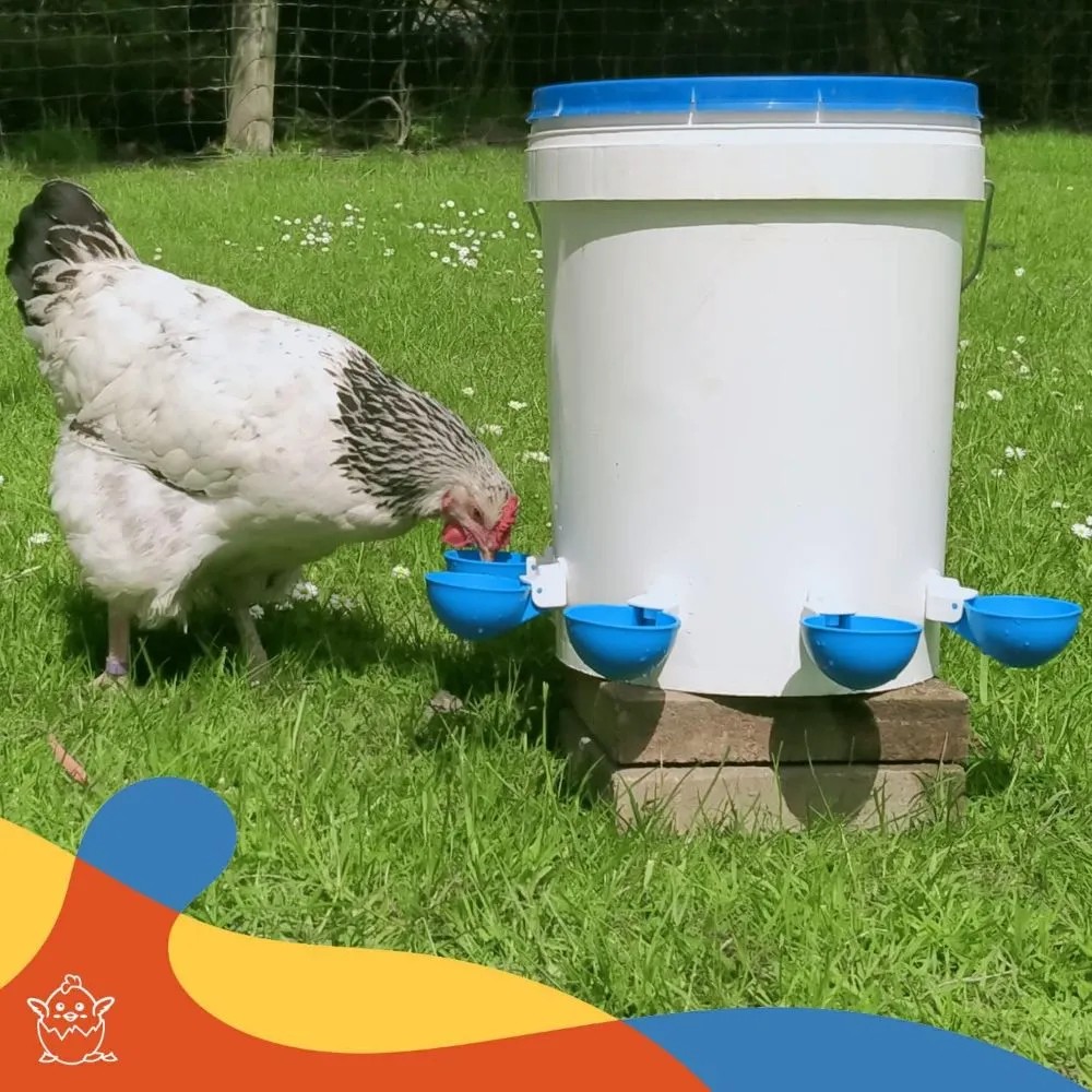 5PCS Poultry Kit Automatic Chi - đánh giá và giá Chicken Nipple Drinker