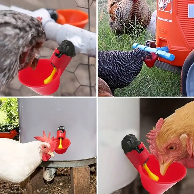 5/10/15Pcs Chicken Quail Hangi - đánh giá và giá Chicken Nipple Drinker