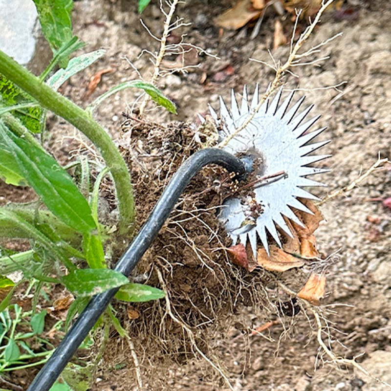 Gardening Weeding Artifact  Fa - đánh giá và giá Agriculture Farming Hand Tools