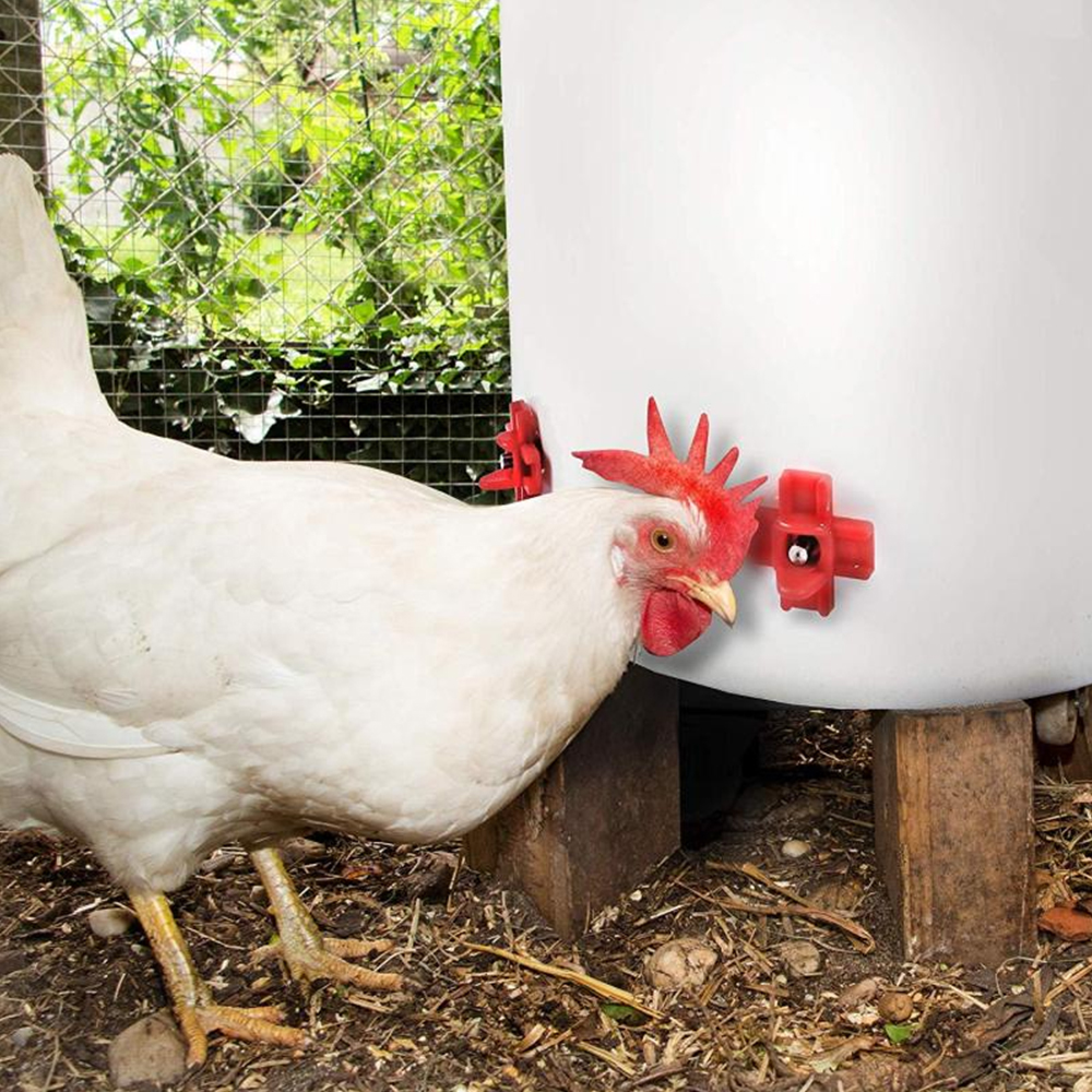 12 pcs Automatic Chicken Water - đánh giá và giá Chicken Nipple Drinker