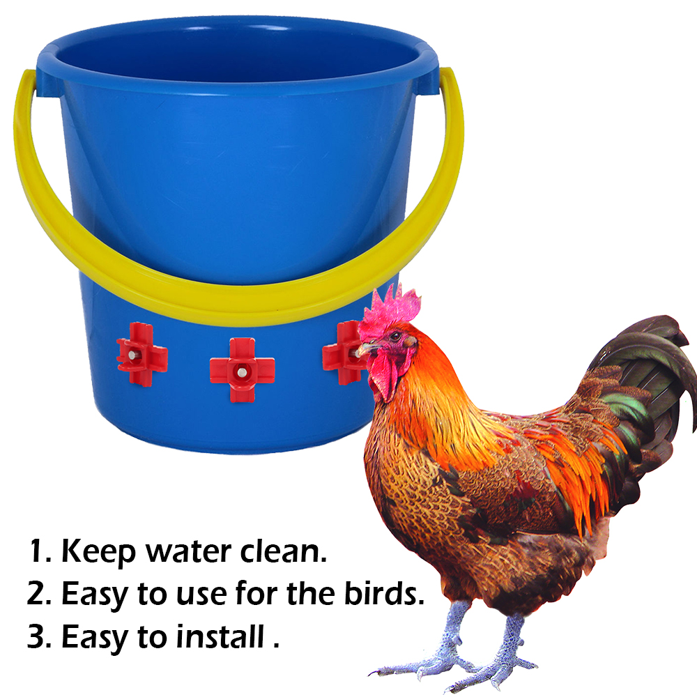 12 pcs Automatic Chicken Water - đánh giá và giá Chicken Nipple Drinker