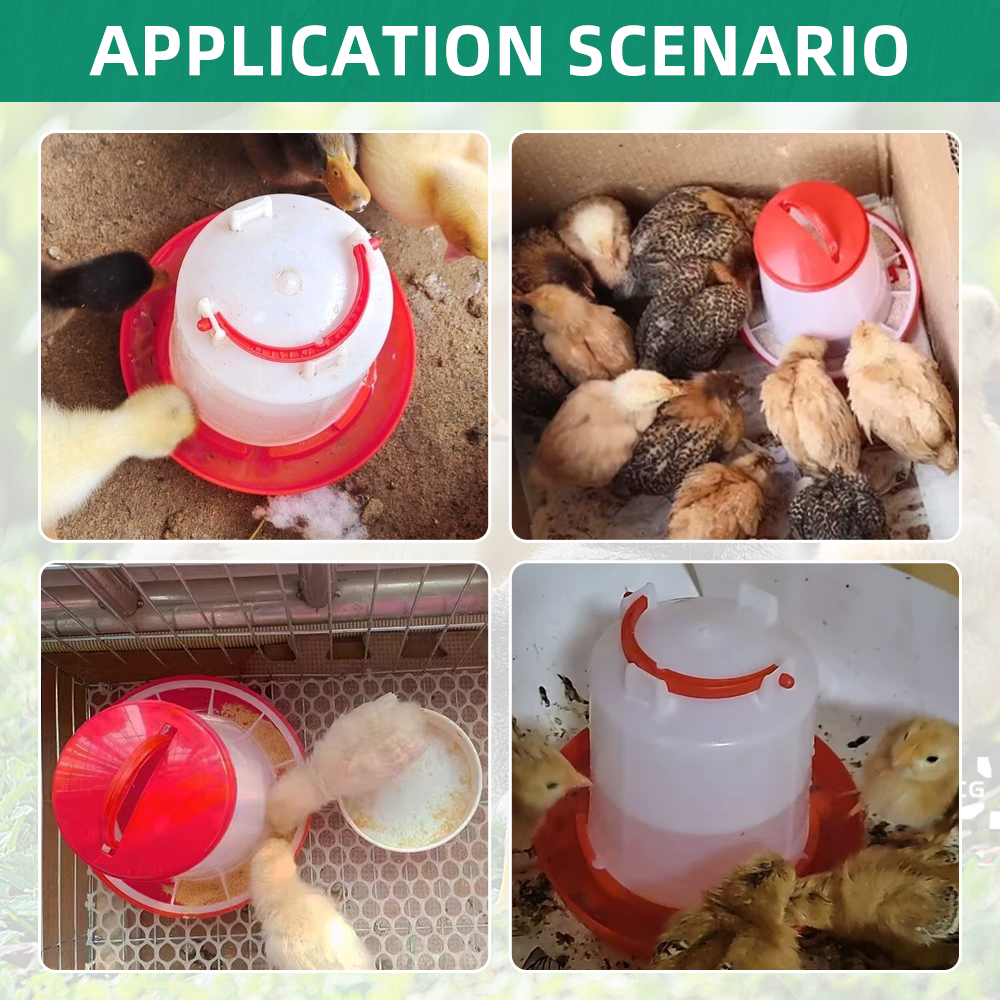 Automatic Chicken Feeder Water - đánh giá và giá Chicken Nipple Drinker