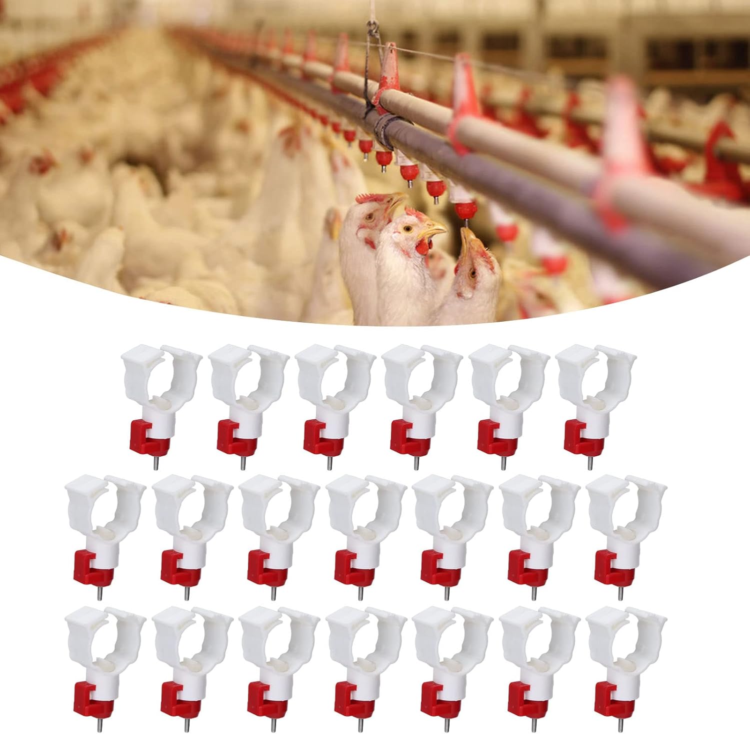 High Quality 20PCS Chicken Nip - đánh giá và giá Chicken Nipple Drinker