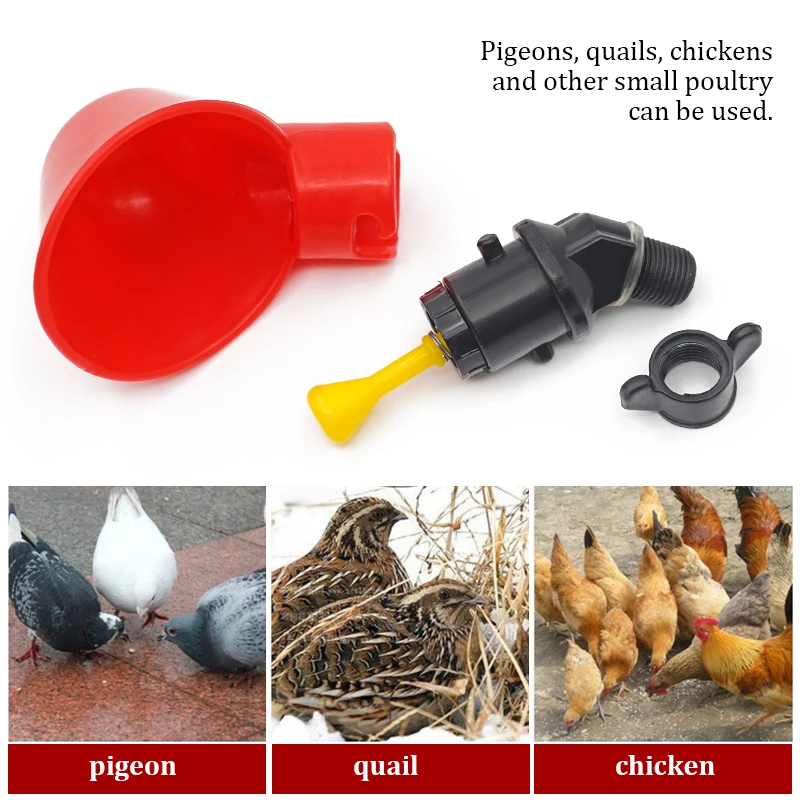 6-36Pcs Chicken Quail Hanging  - đánh giá và giá Chicken Nipple Drinker