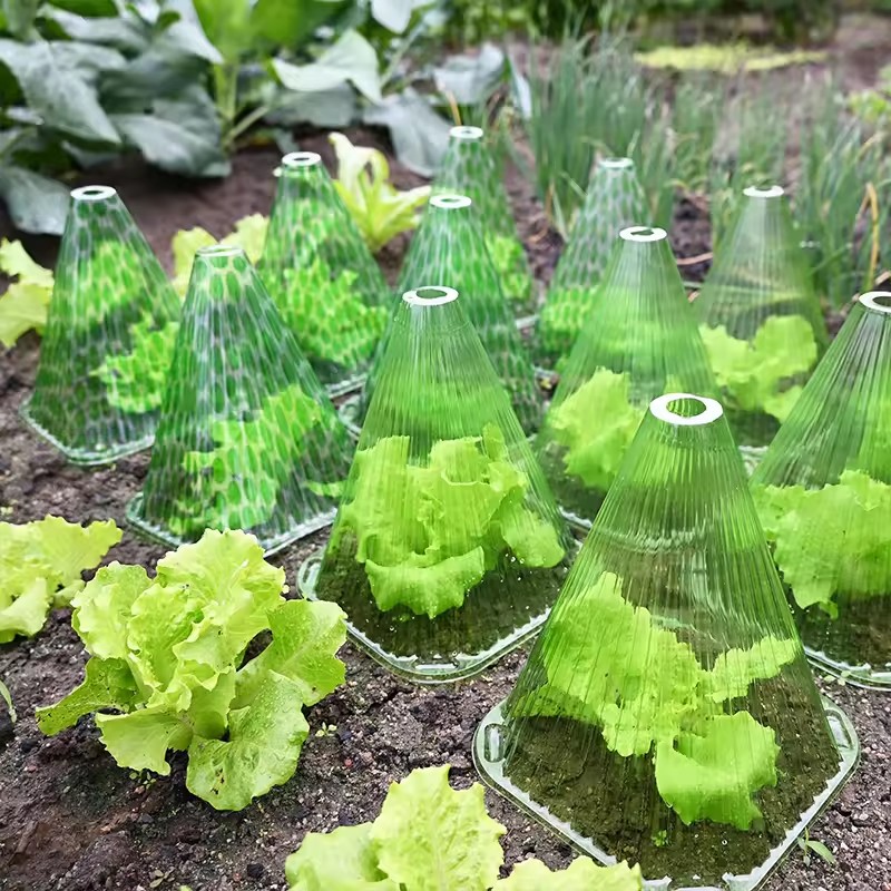 10/20pcs Plant Protective Cove - đánh giá và giá Farming Agriculture Tools